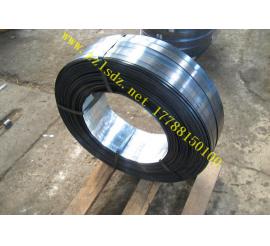 往復式鋼帶烤藍生產線